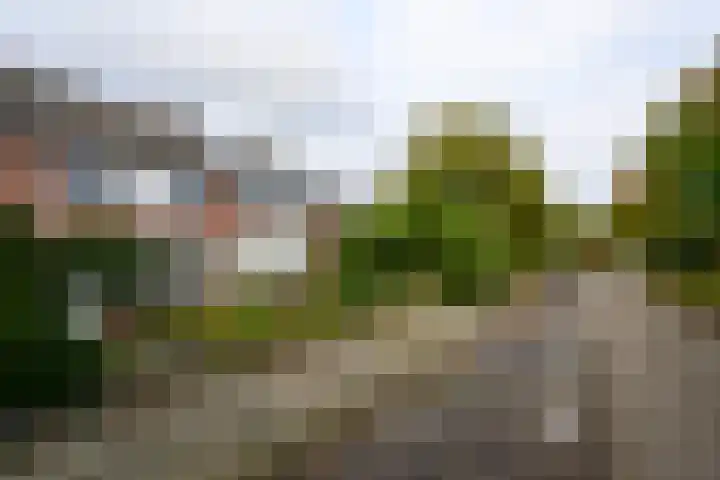 Mezenlaan 17 D Bussum thumbnail 28