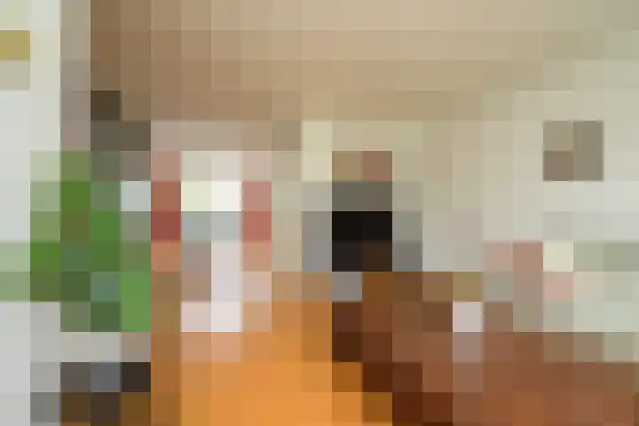 Mezenlaan 17 D Bussum thumbnail 6
