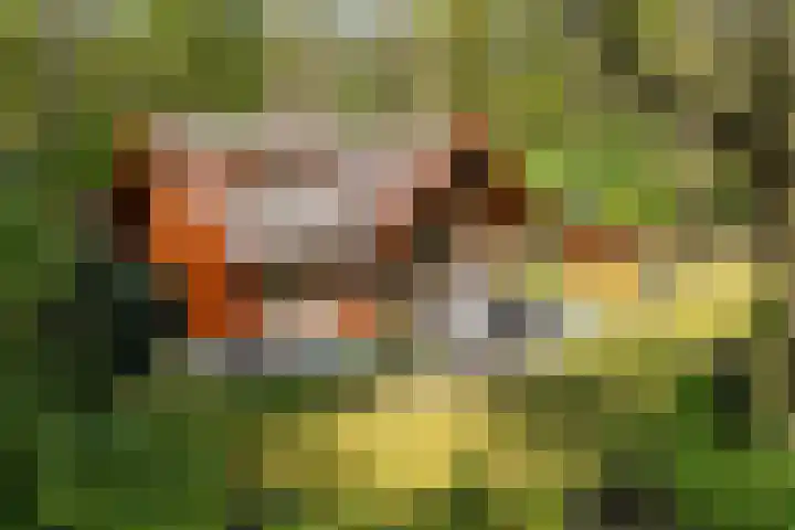 Mezenlaan 18 Norg