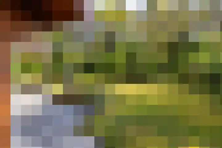 Mezenlaan 18 Norg thumbnail 10