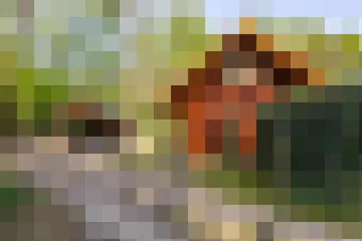 Mezenlaan 18 Norg thumbnail 11