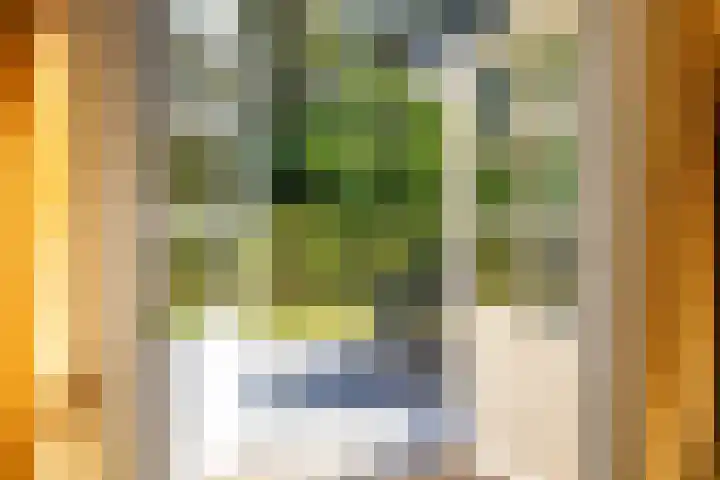 Mezenlaan 18 Norg thumbnail 15