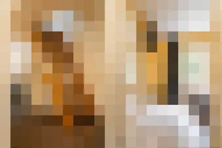 Mezenlaan 18 Norg thumbnail 21