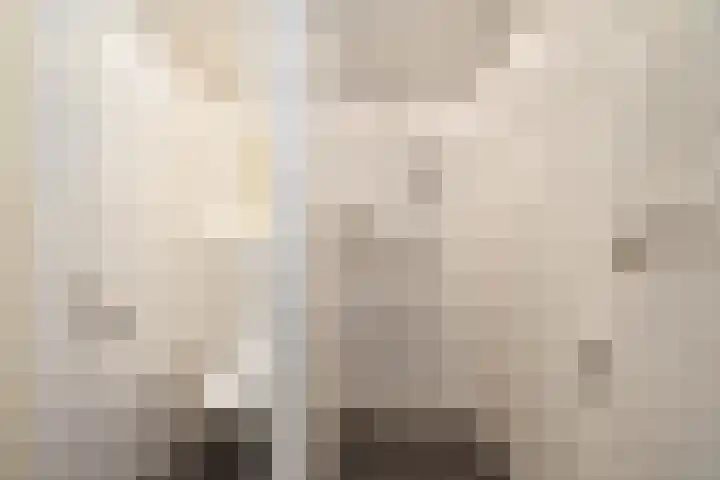 Mezenlaan 18 Norg thumbnail 26