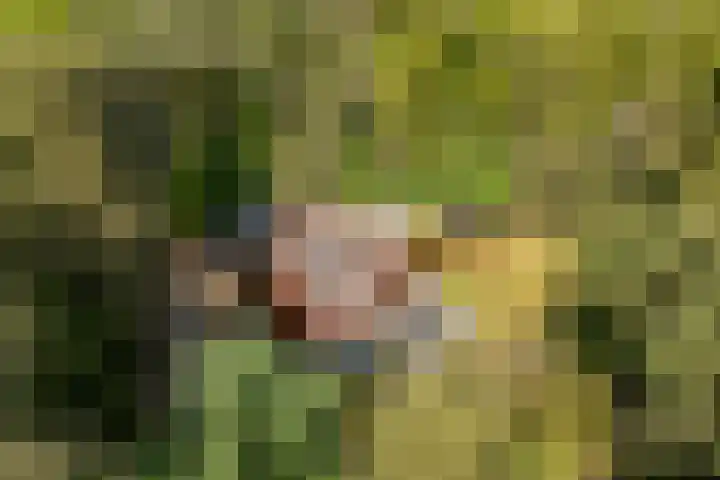 Mezenlaan 18 Norg foto 3