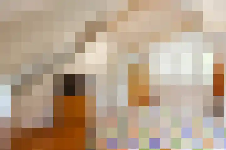 Mezenlaan 18 Norg thumbnail 30