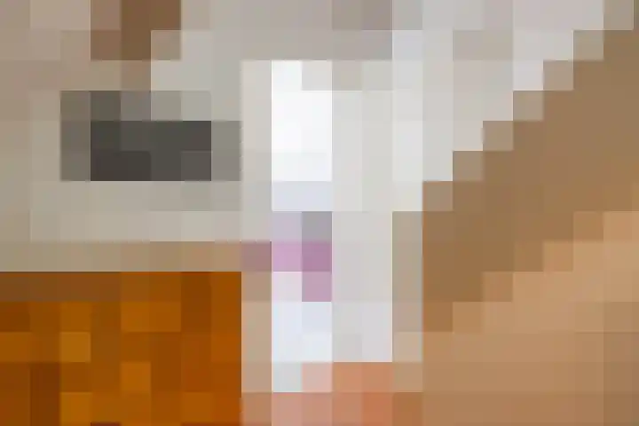 Mezenlaan 18 Norg thumbnail 32