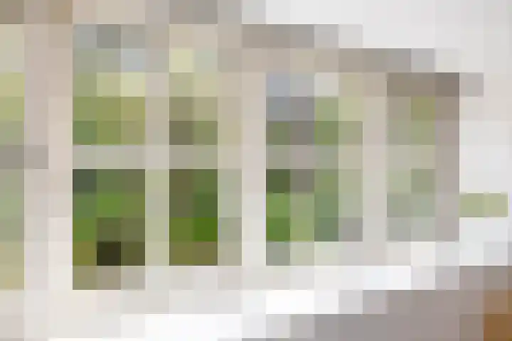 Mezenlaan 18 Norg thumbnail 35