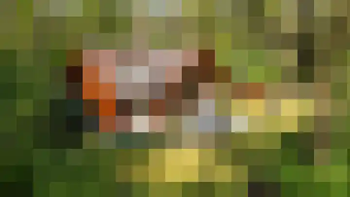 Mezenlaan 18 Norg thumbnail 40