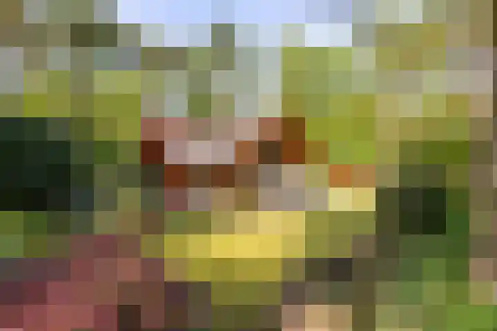 Mezenlaan 18 Norg thumbnail 5