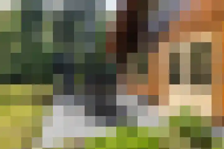 Mezenlaan 18 Norg thumbnail 7