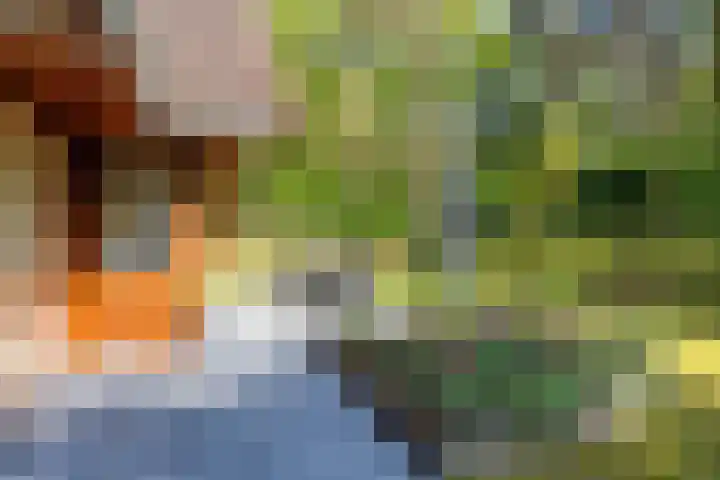 Mezenlaan 18 Norg thumbnail 8