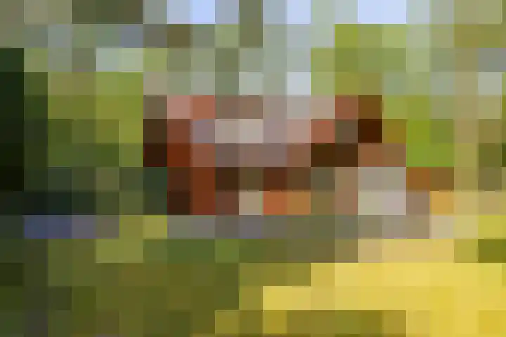 Mezenlaan 18 Norg thumbnail 9