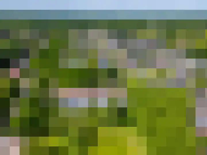 Mezenlaan 19 Dieren