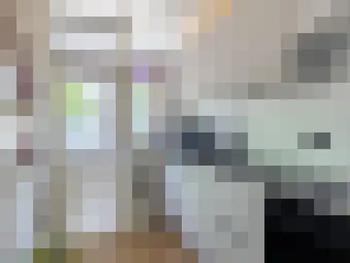Mezenlaan 19 Dieren thumbnail 11