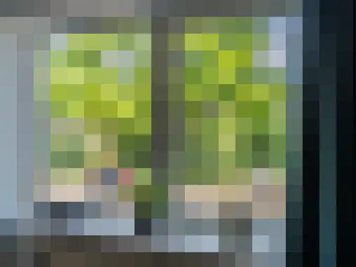 Mezenlaan 19 Dieren thumbnail 17