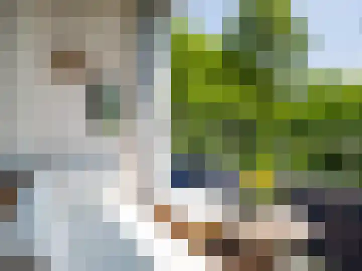 Mezenlaan 19 Dieren thumbnail 19
