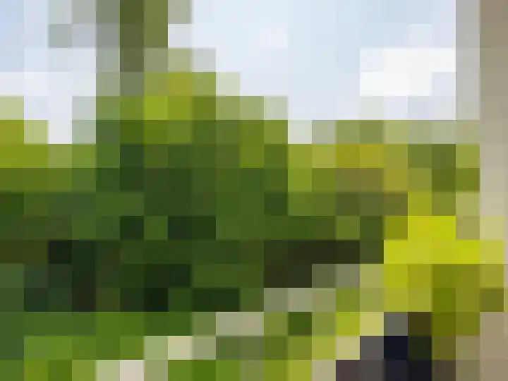 Mezenlaan 19 Dieren thumbnail 20
