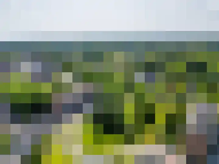 Mezenlaan 19 Dieren thumbnail 26