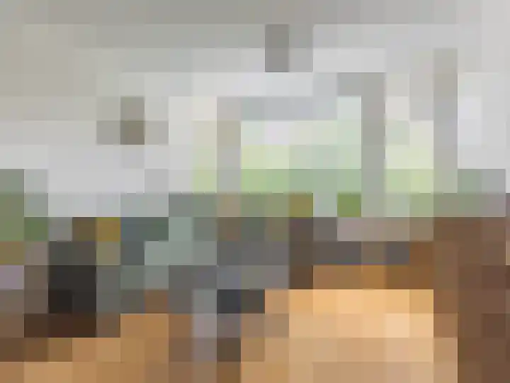 Mezenlaan 19 Dieren thumbnail 5
