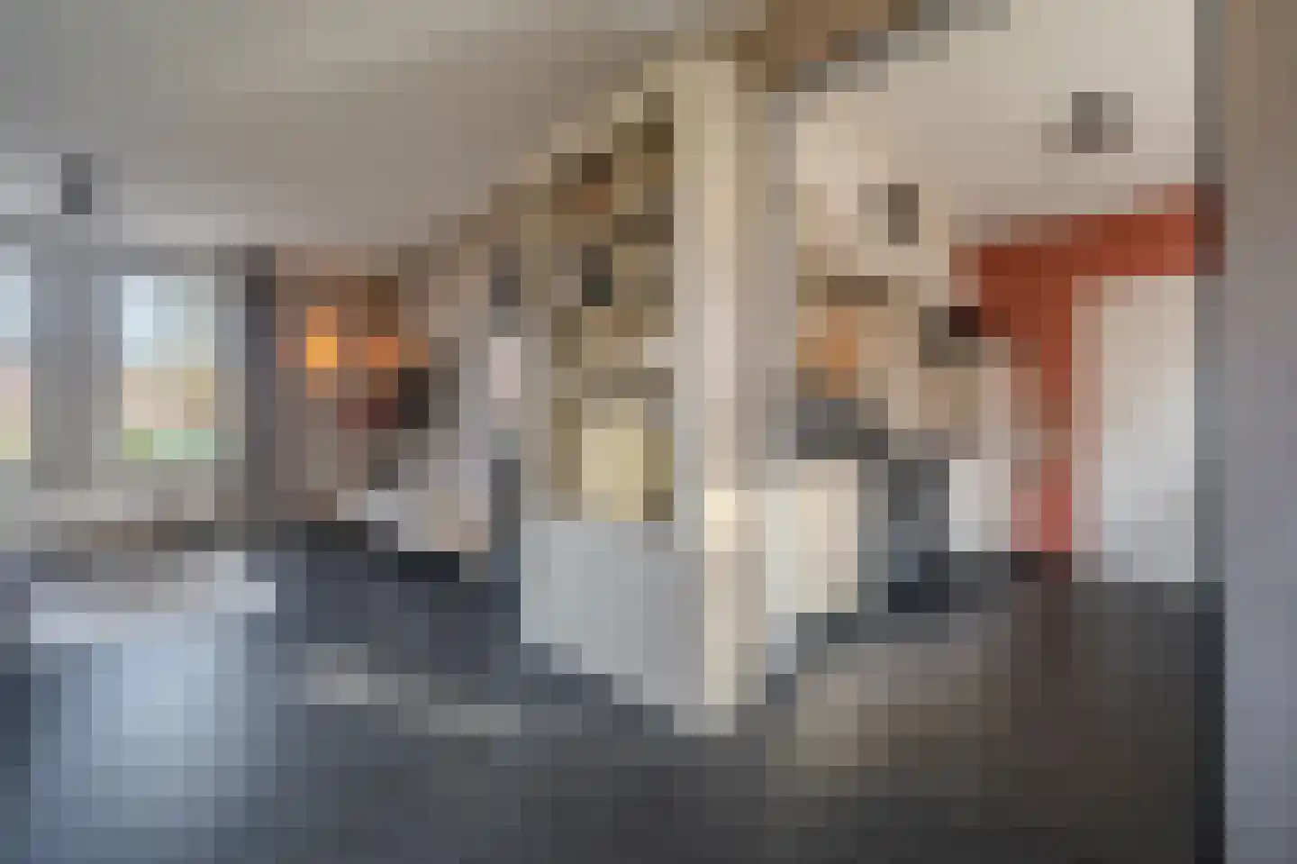 Mezenlaan 20 Nieuwe Pekela thumbnail 11