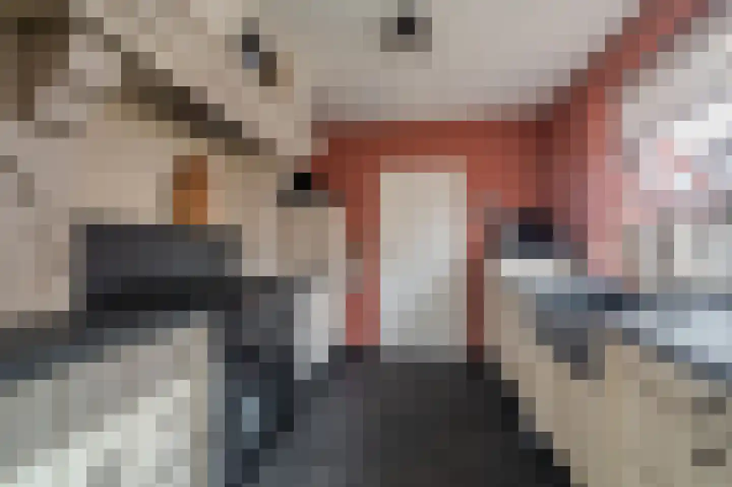 Mezenlaan 20 Nieuwe Pekela thumbnail 12