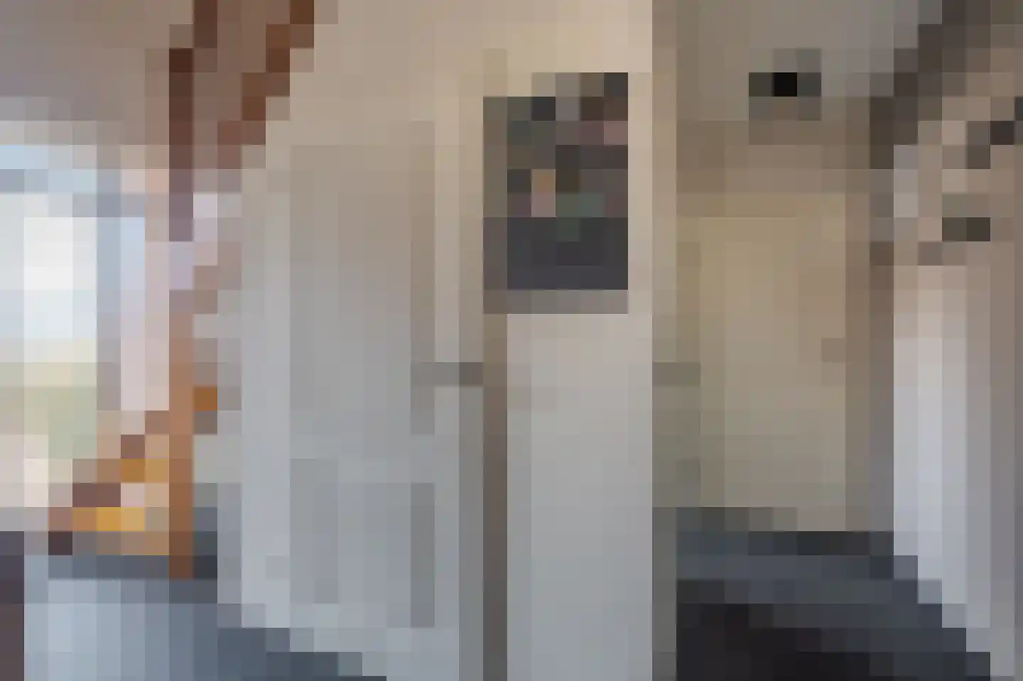 Mezenlaan 20 Nieuwe Pekela thumbnail 17