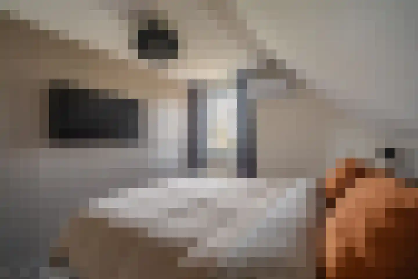 Mezenlaan 20 Nieuwe Pekela thumbnail 23