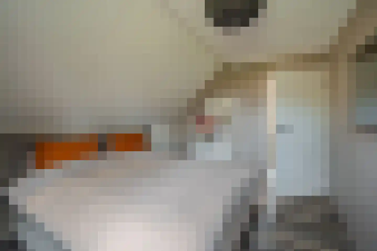 Mezenlaan 20 Nieuwe Pekela thumbnail 24
