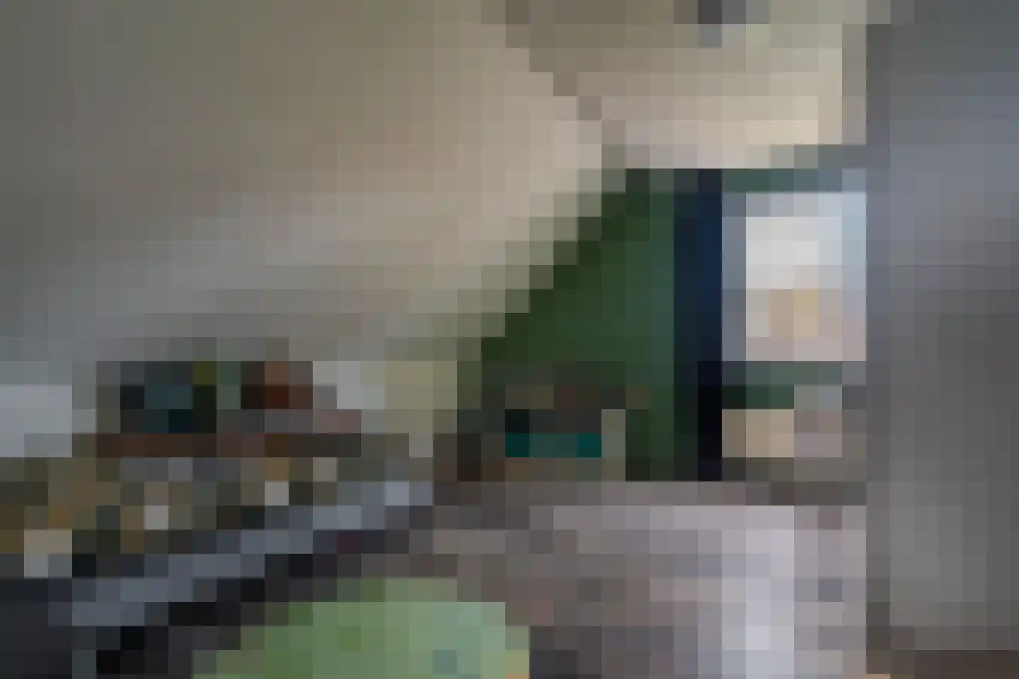 Mezenlaan 20 Nieuwe Pekela thumbnail 25