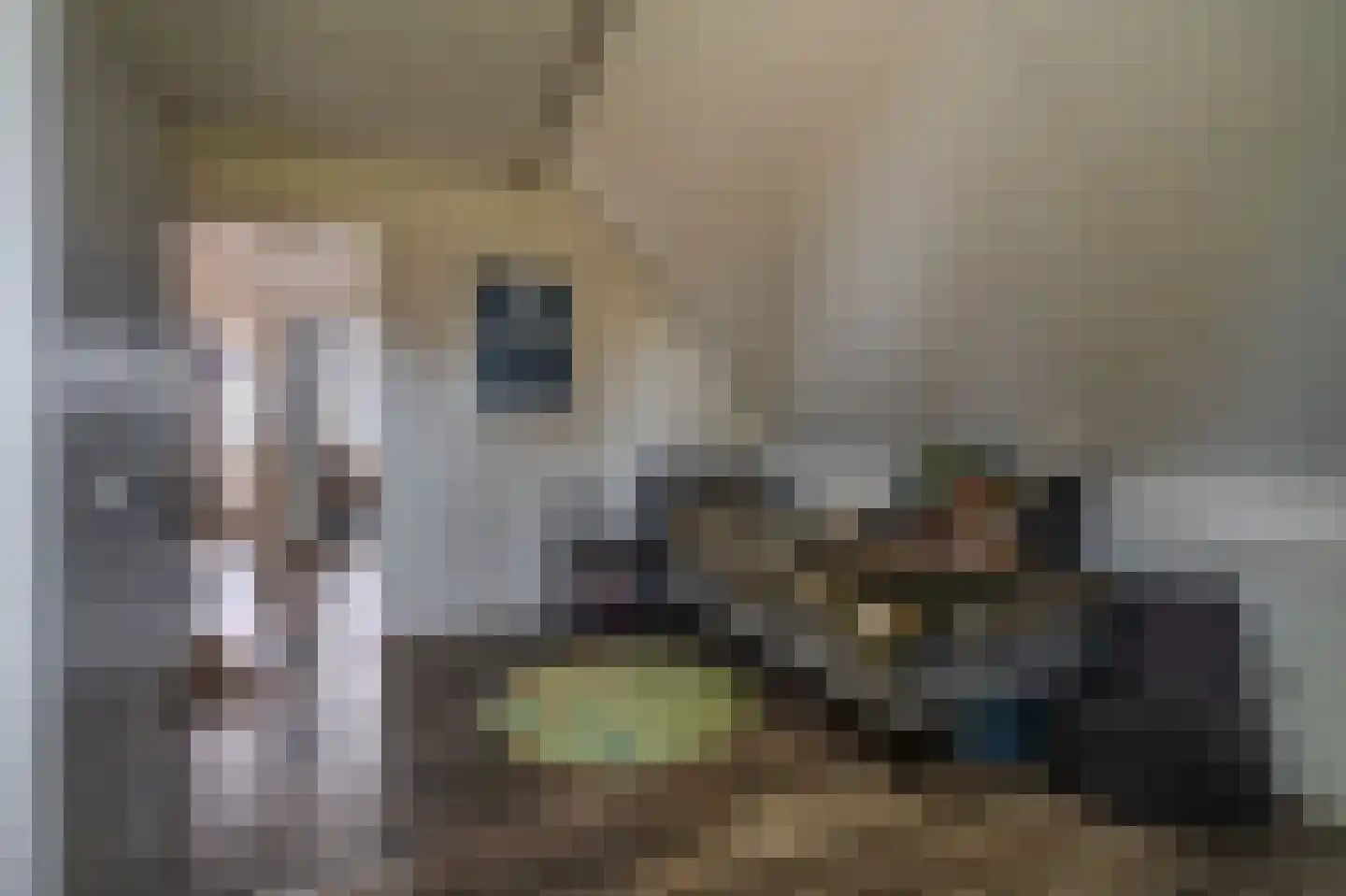 Mezenlaan 20 Nieuwe Pekela thumbnail 26