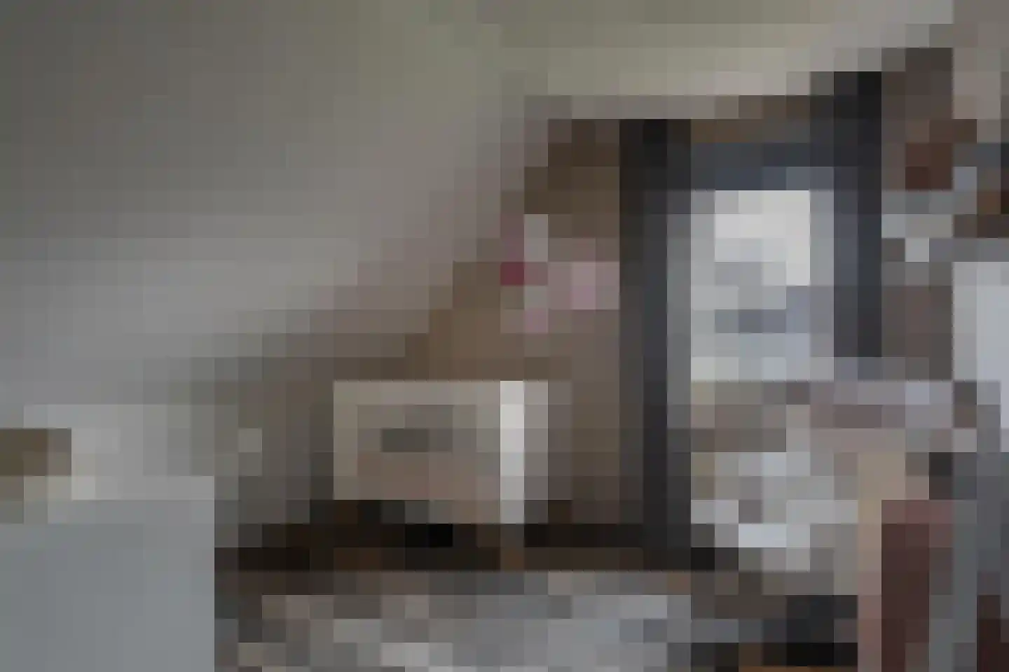 Mezenlaan 20 Nieuwe Pekela thumbnail 28