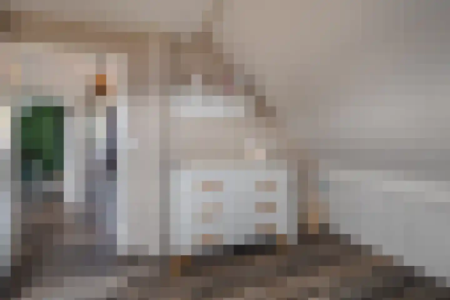 Mezenlaan 20 Nieuwe Pekela thumbnail 29