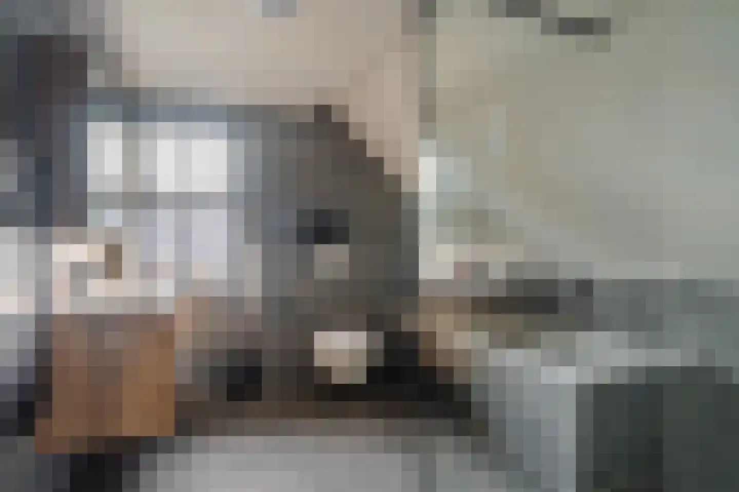 Mezenlaan 20 Nieuwe Pekela foto 3