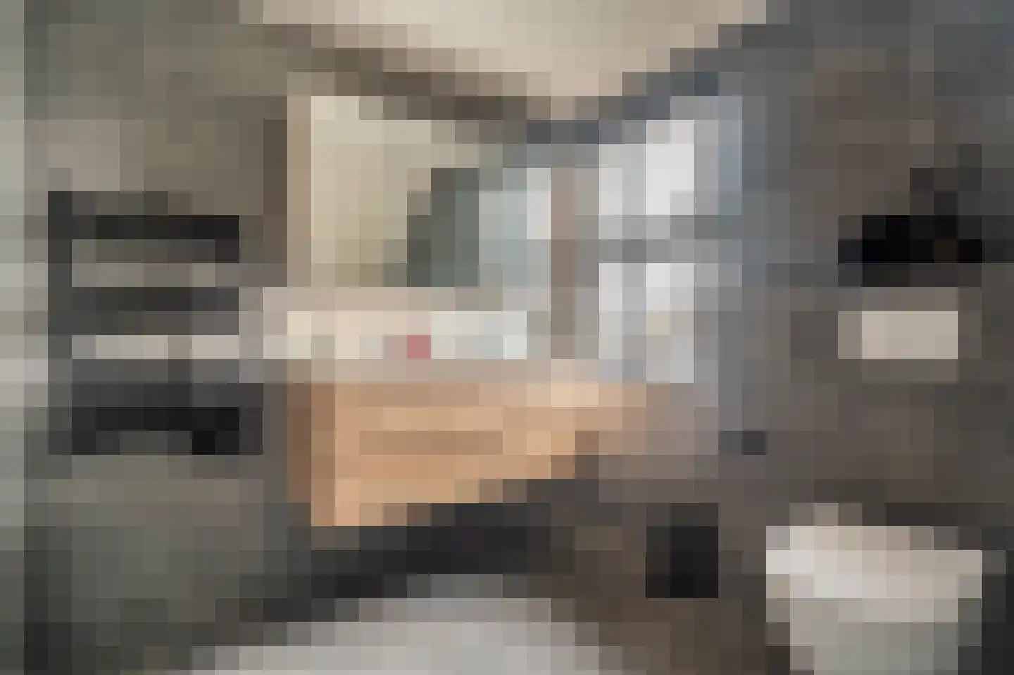 Mezenlaan 20 Nieuwe Pekela thumbnail 30