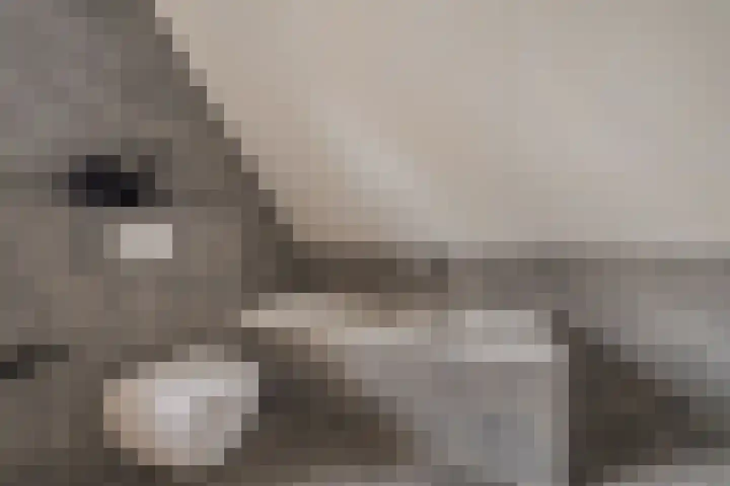 Mezenlaan 20 Nieuwe Pekela thumbnail 31