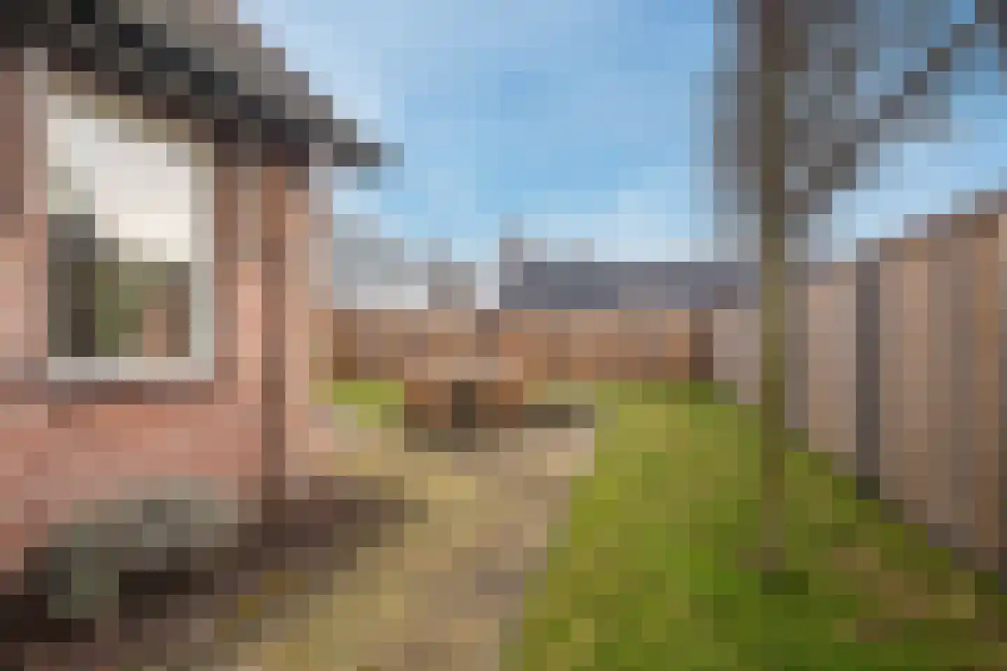 Mezenlaan 20 Nieuwe Pekela thumbnail 38