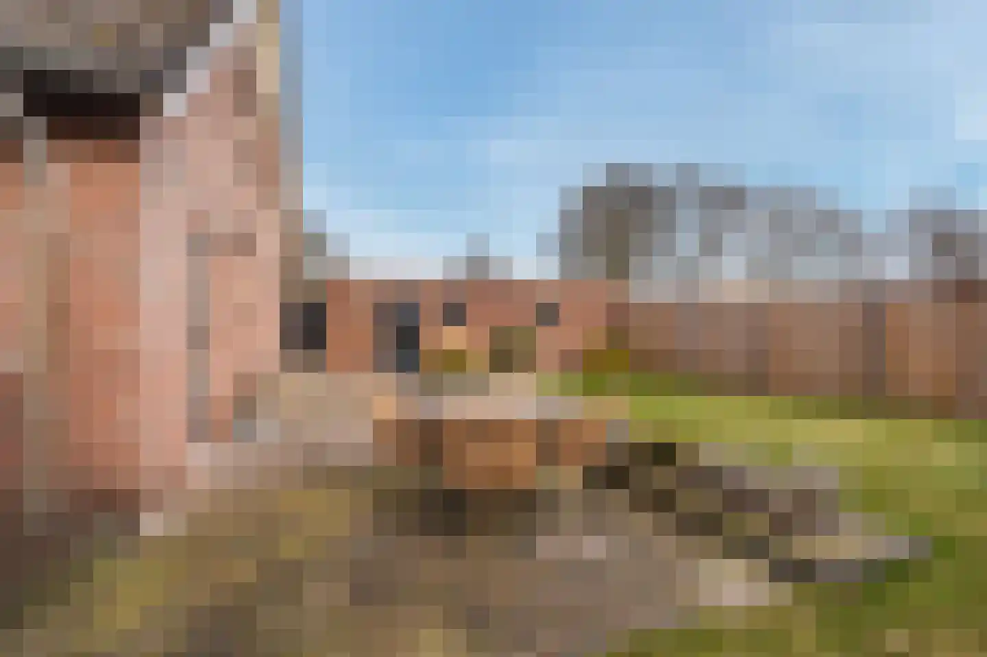 Mezenlaan 20 Nieuwe Pekela thumbnail 39