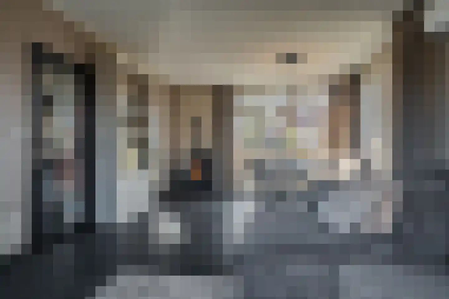 Mezenlaan 20 Nieuwe Pekela thumbnail 4
