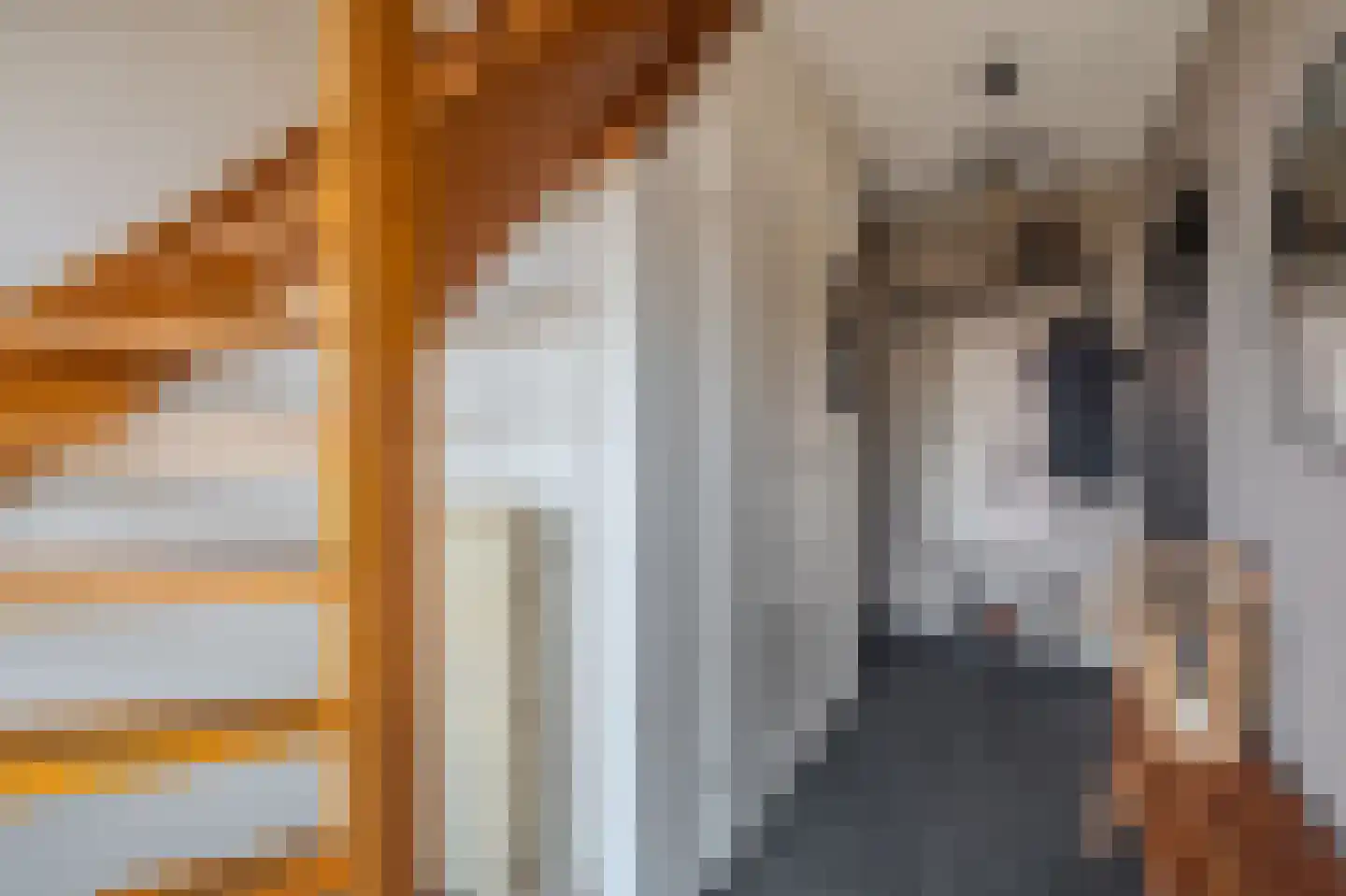 Mezenlaan 20 Nieuwe Pekela thumbnail 6