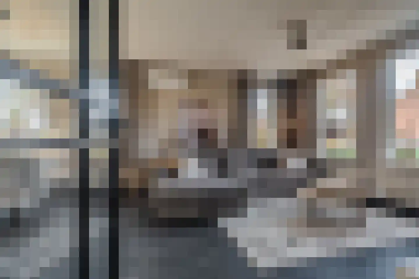 Mezenlaan 20 Nieuwe Pekela thumbnail 7
