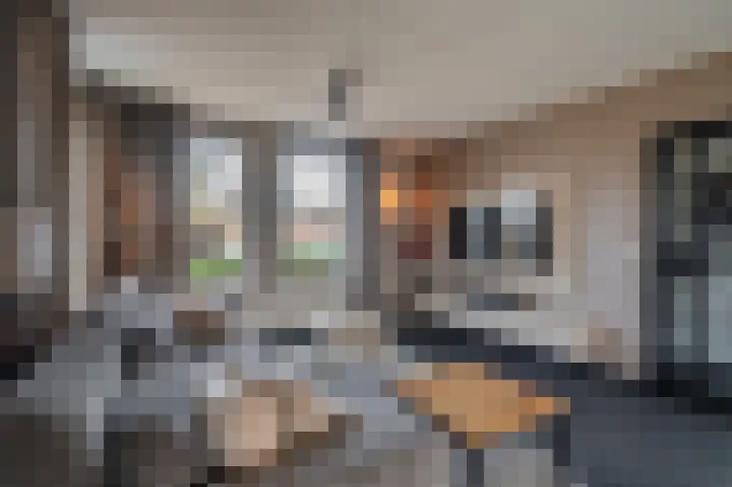 Mezenlaan 20 Nieuwe Pekela thumbnail 8