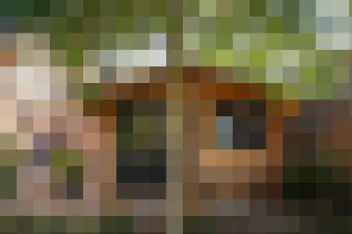 Mezenlaan 21 Beneden-Leeuwen thumbnail 31