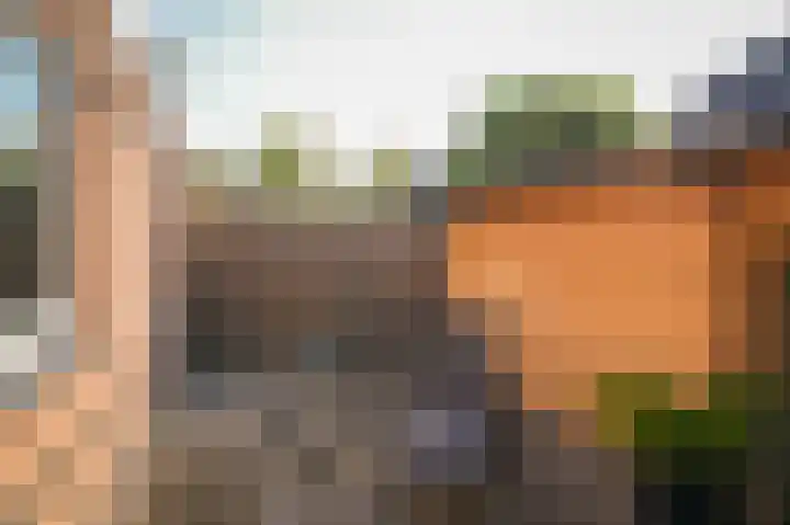Mezenlaan 21 Beneden-Leeuwen thumbnail 32