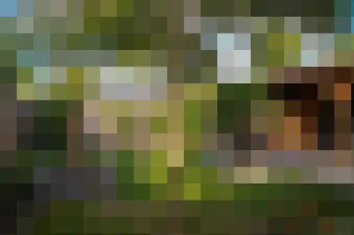 Mezenlaan 21 Beneden-Leeuwen thumbnail 35