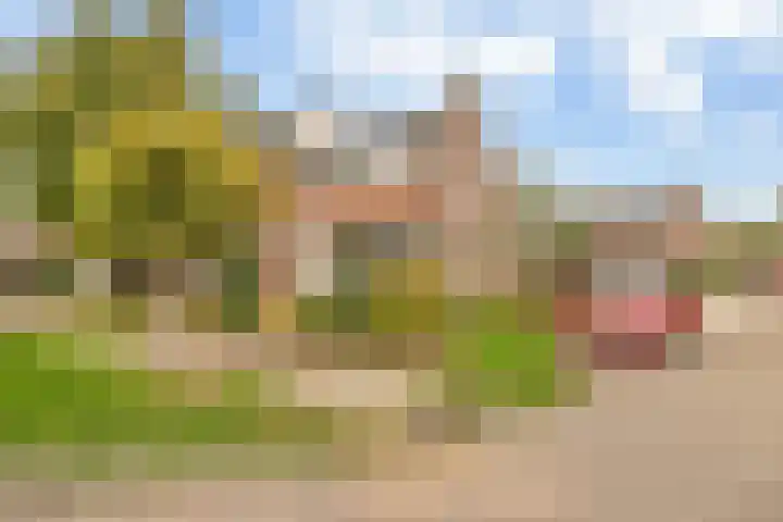 Mezenlaan 38 Dieren