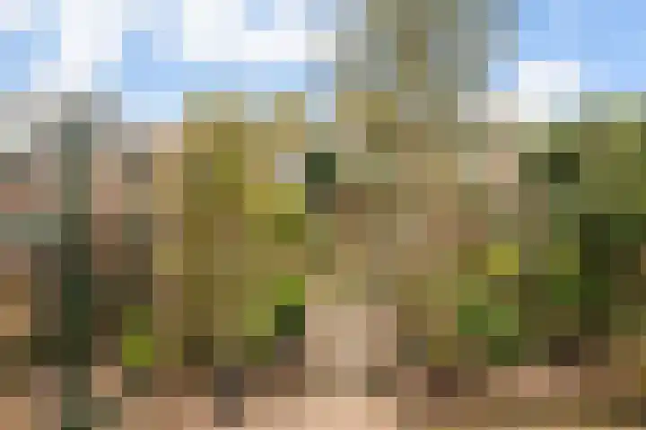 Mezenlaan 38 Dieren thumbnail 14