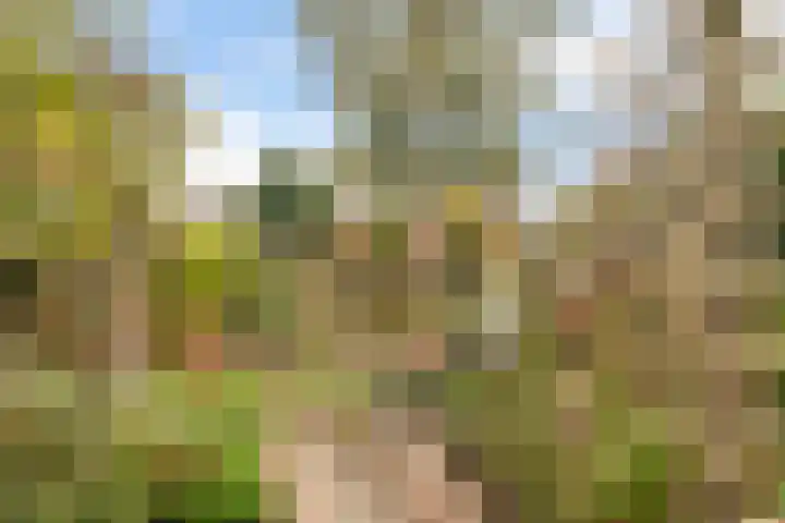 Mezenlaan 38 Dieren thumbnail 16