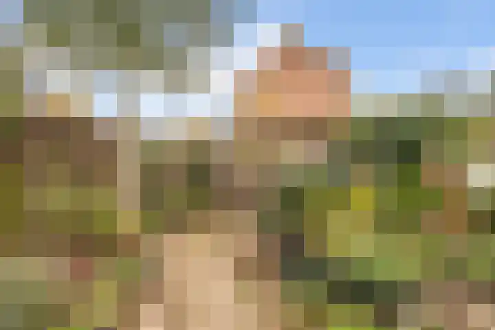 Mezenlaan 38 Dieren thumbnail 17