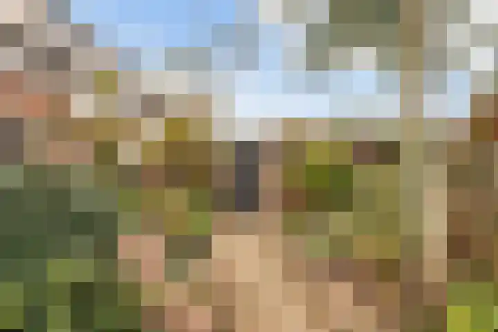 Mezenlaan 38 Dieren thumbnail 18